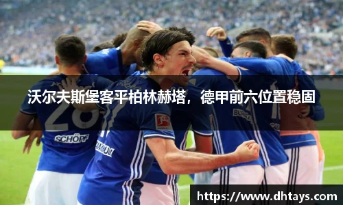 完美电竞官网版